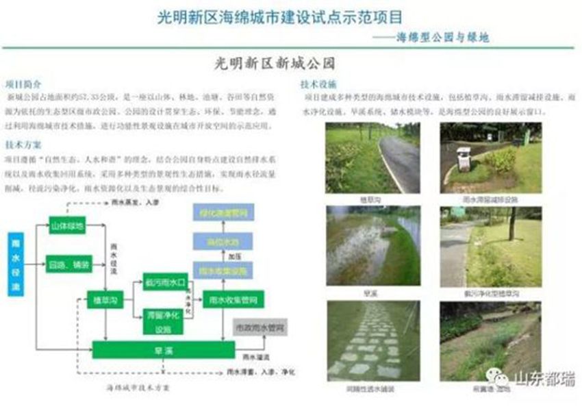 如何理解「海綿城市」的概念？